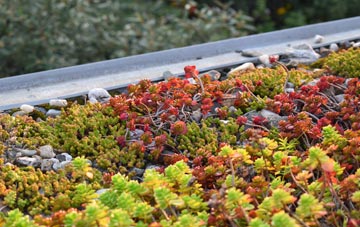 the cost of Woodhouse Park green roof installation