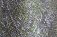 Woodhouse Park fibreglass roof work